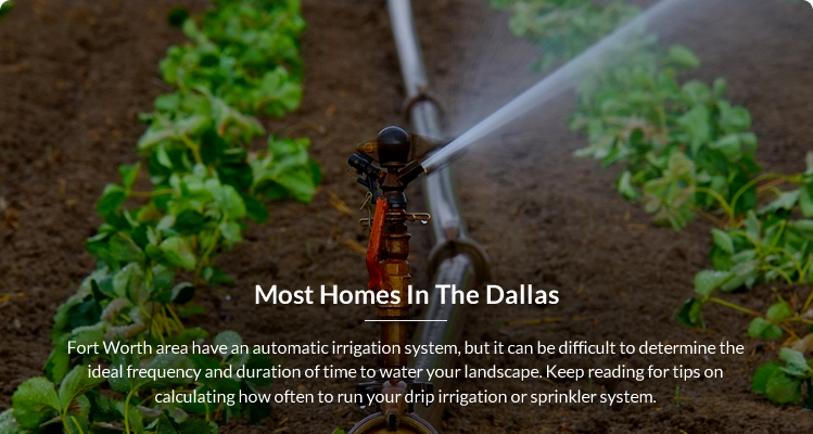 When and How Much to Irrigate – Calculating Evapotranspiration Most homes in the Dallas – Fort