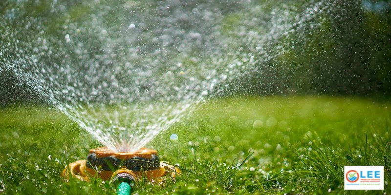 Winter Irrigation_ Keeping Your Landscapes Thriving
